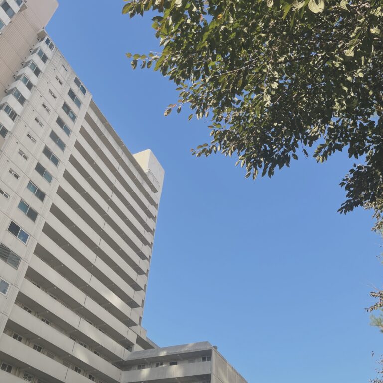 A Month Without Distractions | 한 달 동안의 무소음기